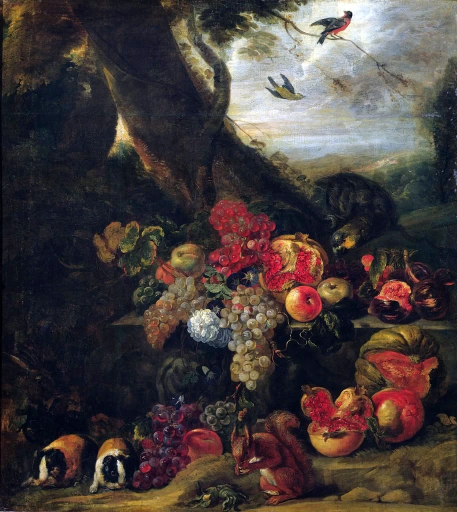 Frutta e animali - Musee des Beaux, Arts, Lille